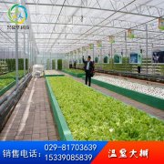 素菜溫室大棚