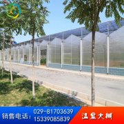 陽光板溫室大棚