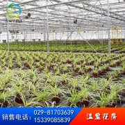 節能溫室花房