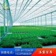 鋼結構溫室花房
