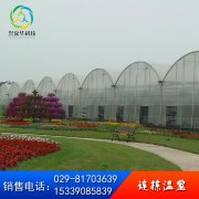 陽光板連棟溫室